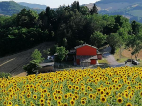 Cozy holiday home in the charming Urbino countryside